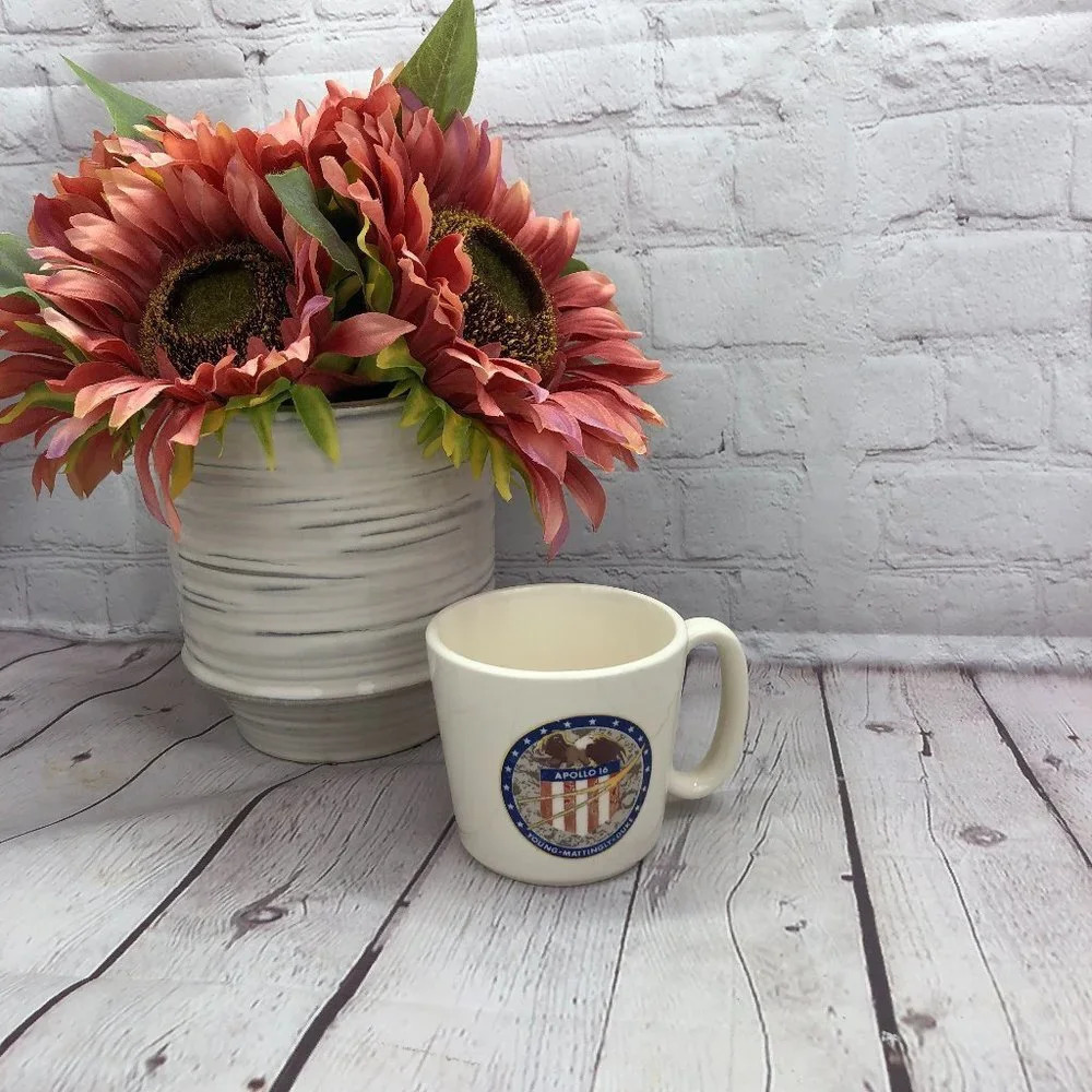 vtg NASA apollo 16 Mug Young mattingly duke retro collectible space mission